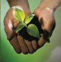 Sign up for GGW eco newsletter GGW Newsletter